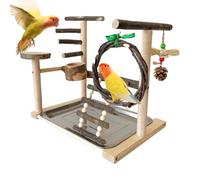 Stand Du Perroquet - Ground Bird Play | Stand De Perchoir Du Perchoir | Avec Une Échelle De Jouets De Tasse D'alimentation Swinder Et Un Plateau | Accessoires De Cage D'oiseaux Résistants Aux Morsures