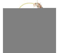 Stand Tecteur Arch - Cadre d'arc De Ballon De Mariage en Métal Portable | Décorative De Porte De Porte Ciblée pour La Configuration des Fleurs De Fleurs | Cadre De Photomaton De Fête D'événement pour