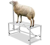 Stand VEVOR pour chèvres et moutons, 1295 x 584 mm Stand pour bétail, stand métallique pour la traite et la tonte du bétail, hauteur réglable de 533 à 838 mm, avec tête et boucle nasale, poids de char