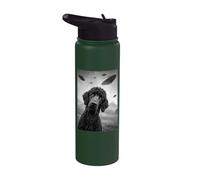 Standard Poodle UFO 2 Stainless Steel Insulated Water Bottle