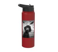 Standard Poodle UFO 2 Stainless Steel Insulated Water Bottle