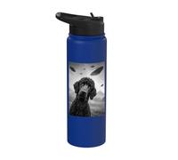 Standard Poodle UFO 2 Stainless Steel Insulated Water Bottle