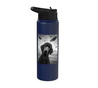 Standard Poodle UFO 2 Stainless Steel Insulated Water Bottle