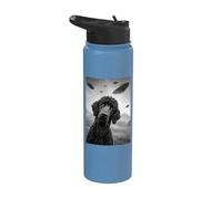 Standard Poodle UFO 2 Stainless Steel Insulated Water Bottle