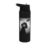 Standard Poodle UFO 2 Stainless Steel Insulated Water Bottle