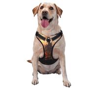 Standing Near The Castle Harnais de qualité supérieure pour chiens de petite, moyenne et grande taille - Durable, ne tire pas avec sangles réfléchissantes et boucles à dégagement rapide Taille L