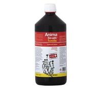 STANGEST VET Anima-Strath Tomillo 1 L Complément Alimentaire Respiratoire Chien Chat Cheval