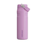 Stanley 1913 Flip Straw 2.0 Gourde Isotherme Avec Paille 0.7L - 10 Heures Froide - 3 Jours Glacée - Acier Inoxydable - Sans BPA - Etanche - Lavable Au Lave-Vaisselle - Thermos - Lilac