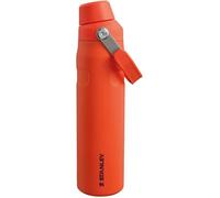 Stanley Aerolight IceFlow Fast Flow Gourde Sport Isotherme 0.6L - Froid Pendant 10 Heures - Couvercle Étanche et à Écoulement Rapide - Lavable au Lave-Vaisselle - Sans BPA - Tigerlily Plum