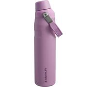 Stanley Aerolight Iceflow Fast Flow Gourde Sport Isotherme 0.6l - Froid Pendant 10 Heures - Couvercle Étanche Et À Écoulement Rapide - Lavable Au Lave-Vaisselle - Sans Bpa - Fog Metallic