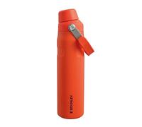 Stanley Aerolight IceFlow Fast Flow Gourde Sport Isotherme 0.6L - Froid Pendant 10 Heures - Couvercle Étanche et à Écoulement Rapide - Lavable au Lave-Vaisselle - Sans BPA - Tigerlily Plum