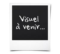 STANLEY - Agrafes 6mm type - 1000pcs