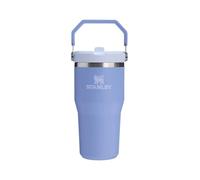 Stanley Ice Flow GO Paille rabattable pour hortensia 600 ml