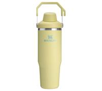 Stanley Iceflow 2.0 Tobelet a debit rapide avec poignee 30 oz | Twist on Angled Spout Lid | Bouteille d'eau fuite | Acier inoxydable isole | Sans