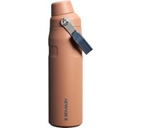 Stanley IceFlow Bouteille d'eau de 710 ml - Couvercle à bec coudé - Légère et étanche - Pour les voyages et le sport - Acier inoxydable isolé - Sans BPA - Toast VRT