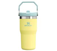 STANLEY IceFlow Gobelet en acier inoxydable - Bouteille d'eau isotherme pour la maison, le bureau ou la voiture - Tasse réutilisable avec paille anti-fuite, flip froid pendant 12 heures ou glacée