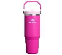 Stanley The IceFlow™ Flip Straw 2.0 Tumbler men Outdoor Equipment purple taille: ONE SIZE