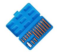 Star Bit Lot de 15 magnétiques universels en acier S2 | Embouts de pilote de sécurité pour voiture, moto, châssis, transmissions intérieures, travaux mécaniques