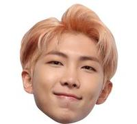 STAR CUTOUTS 7 Masques en carton chanteurs des BTS (KPOP) avec RM, SUGA, J-HOPE, JIMIN, JUNGKOOK, V, JIN Multicolors G