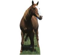 STAR CUTOUTS Figurine en carton Cheval Mustang H 190 cm Multicolors G