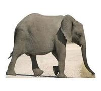 STAR CUTOUTS Figurine en carton Éléphanteau - bébé éléphant Haut 114 cm Multicolors G