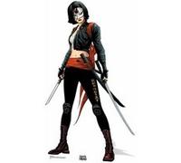 STAR CUTOUTS Figurine en carton Katana (Suicide Squad) 157 cm Noir G