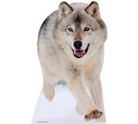 STAR CUTOUTS Figurine en carton Le Loup Haut 92 CM Multicolors G