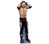 STAR CUTOUTS Figurine en carton WWE Entrainement Bord 195 cm Multicolors G