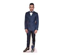 STAR CUTOUTS Lewis Hamilton Tapis Rouge en Carton Taille réelle Multicolore 174 x 54 x 174 cm, LIFESIZE