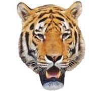 STAR CUTOUTS Ltd Tiger Masque unique pour anniversaire d'enfant Multicolore 25 x 15 x 1 cm