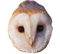 STAR CUTOUTS SM444 Masque hibou en carton - Superbe sujet de conversation - si réaliste