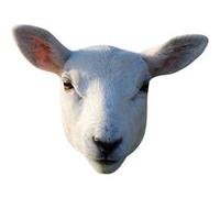 STAR CUTOUTS SM447 Masque de mouton en carton - Superbe sujet de conversation - Si réaliste