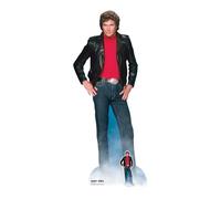 Star Cutouts SC1381 Michael David Hasselhoff Knight Rider Silhouette en carton grandeur nature avec mini support gratuit, parfait pour les fêtes des années 80, les fans et les événements 190 cm de haut, taille unique