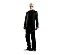 Star Cutouts SC1655 Draco Malfoy Carton (Harry Potter Star Mini découpe Tom Felton), Solide, Multicolore, Standard