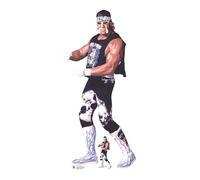 Star Cutouts SC4414 Hulk Hogan NWO WWE Découpe en Carton Hauteur 196 cm