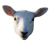 STAR CUTOUTS SM447 Masque de mouton en carton - Superbe sujet de conversation - Si réaliste