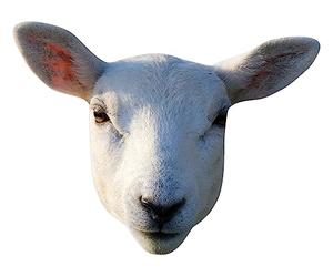 STAR CUTOUTS SM447 Masque de mouton en carton - Superbe sujet de conversation - Si réaliste
