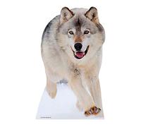 Star Cutouts STSC221 Figurine Géante Carton Loup, Taille Unique