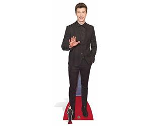 Star découpes Shawn Mendes Carton de la découpe, Multicolore