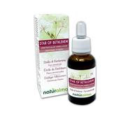 Star of Bethlehem ou Étoile de Bethléem (Ornithogalum umbellatum) Fleurs émotionnelles ou Fleurs de Bach Naturalma - Gouttes 30 ml - Extrait liquide sans alcool - Essences florales - Vegan
