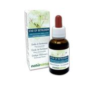 Star of Bethlehem ou Étoile de Bethléem (Ornithogalum umbellatum) Fleurs émotionnelles ou Fleurs de Bach Naturalma - Gouttes 30 ml - Extrait alcoolique liquide - Végane - Formule originale au Brandy