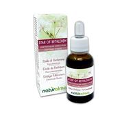 Star of Bethlehem ou Étoile de Bethléem (Ornithogalum umbellatum) Remèdes floraux Naturalma - Gouttes 30 ml - Extrait liquide sans alcool - Essences florales - Vegan et sans alcool