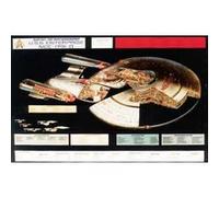 STAR TREK - 68,5x101,5 cm - AFFICHE / POSTER G