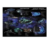 STAR TREK - 68,5x101,5 cm - AFFICHE / POSTER G