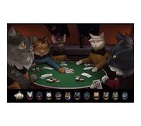 Star Trek Cats - Poker - AFFICHE G