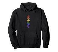 Star Trek DS9 United Rainbow Symbol Stack Sweat à Capuche