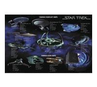 STAR TREK POSTER FAMOUS STARFL + un joli emballage cadeau G