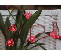 Star Viola-Battery Guirlande LED 10 fleurs rouges LED rouges à piles Câble transparent Boîte à fenêtre, 1,35 m