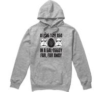 Star Wars - "GalEggsy Far, Far Away" Sweat à capuche pour homme TV4775 (XL) (Sport Heide)