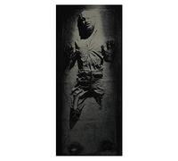 Star Wars Han Solo in Carbonite Petit Tapis décoratif - 81,3 x 183 cm